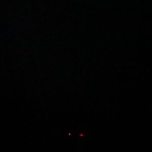 Meet your Posher, Idaya